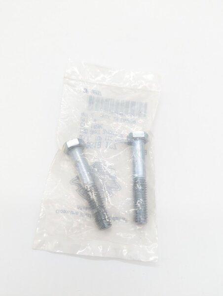 Schraube AA0618.1CZ  2 Stk.