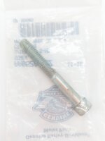 OEM Schrauben AA0520.2CZ, 1Stk.