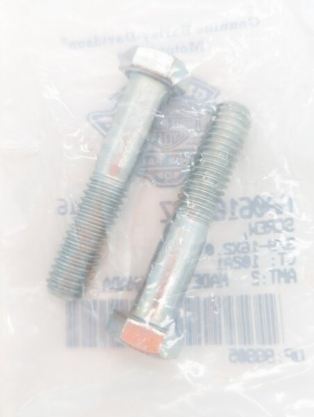 OEM Schrauben AA0616.1CZ, 2Stk.