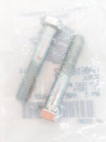 OEM Schrauben AA0616.1CZ, 2Stk.