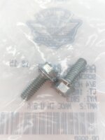 OEM Schrauben AA0406.21CZB, 2Stk.