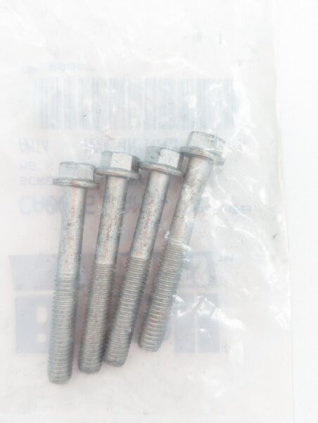 OEM Schrauben CA0066.1AM, 4Stk.